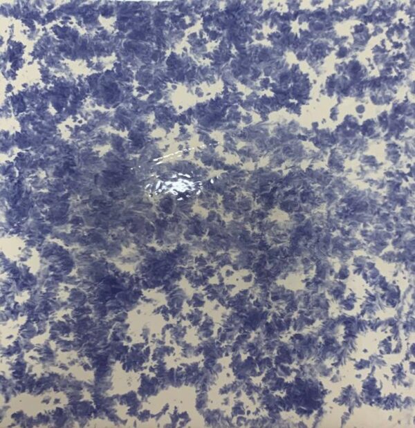 Azulejo cod 523